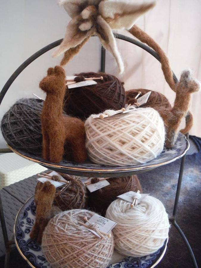 NarizMonte Frio Alpacas别墅 外观 照片