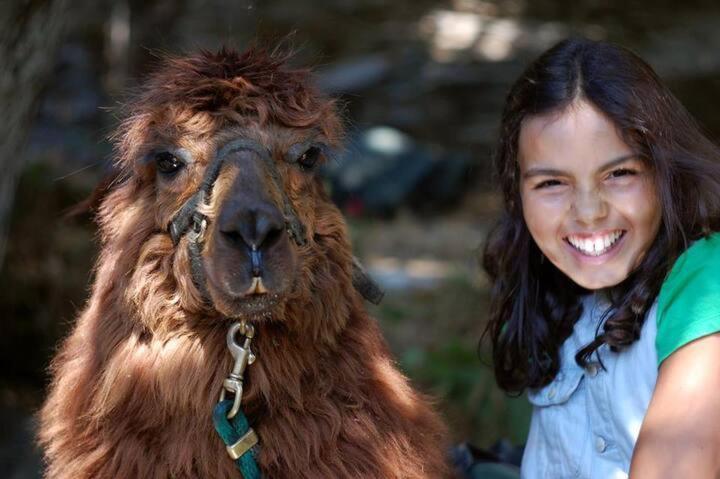 NarizMonte Frio Alpacas别墅 外观 照片
