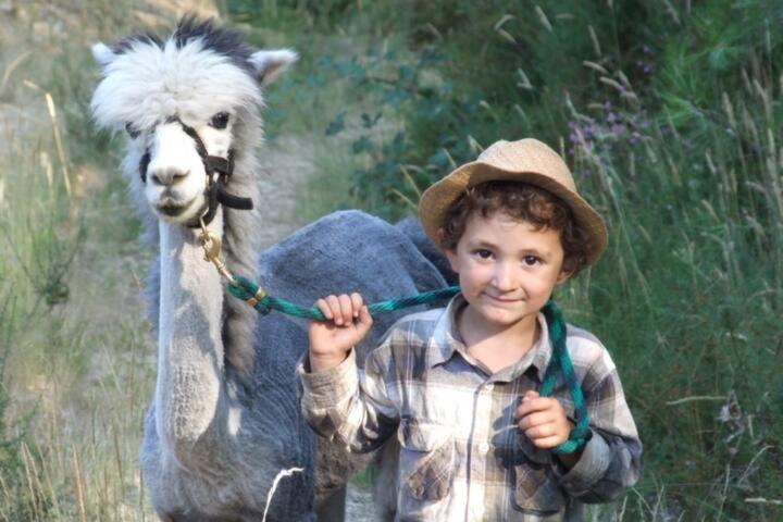 NarizMonte Frio Alpacas别墅 外观 照片