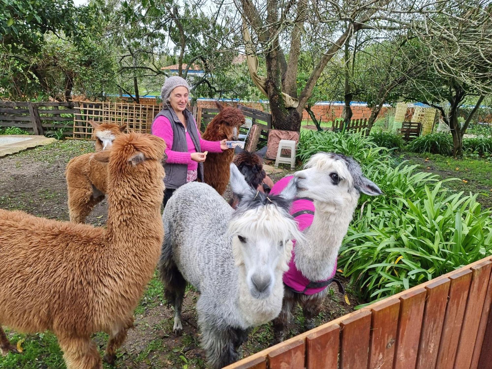 NarizMonte Frio Alpacas别墅 外观 照片